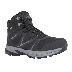 Ботинки 83294-14 черный атлас фото 1